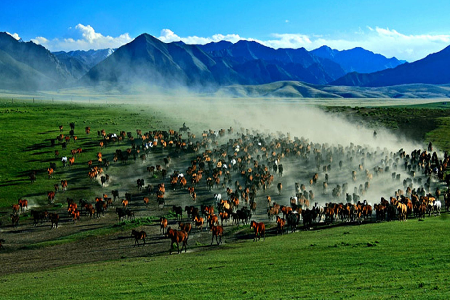 肃南裕固族风情走廊