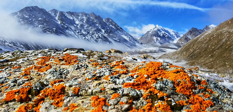 张掖肃南旅游巴尔斯雪山美景：梦幻巴尔斯