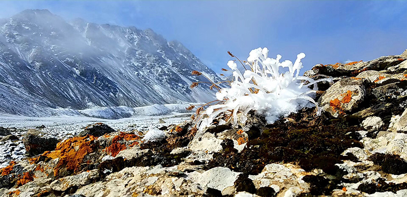 张掖肃南旅游巴尔斯雪山美景：梦幻巴尔斯