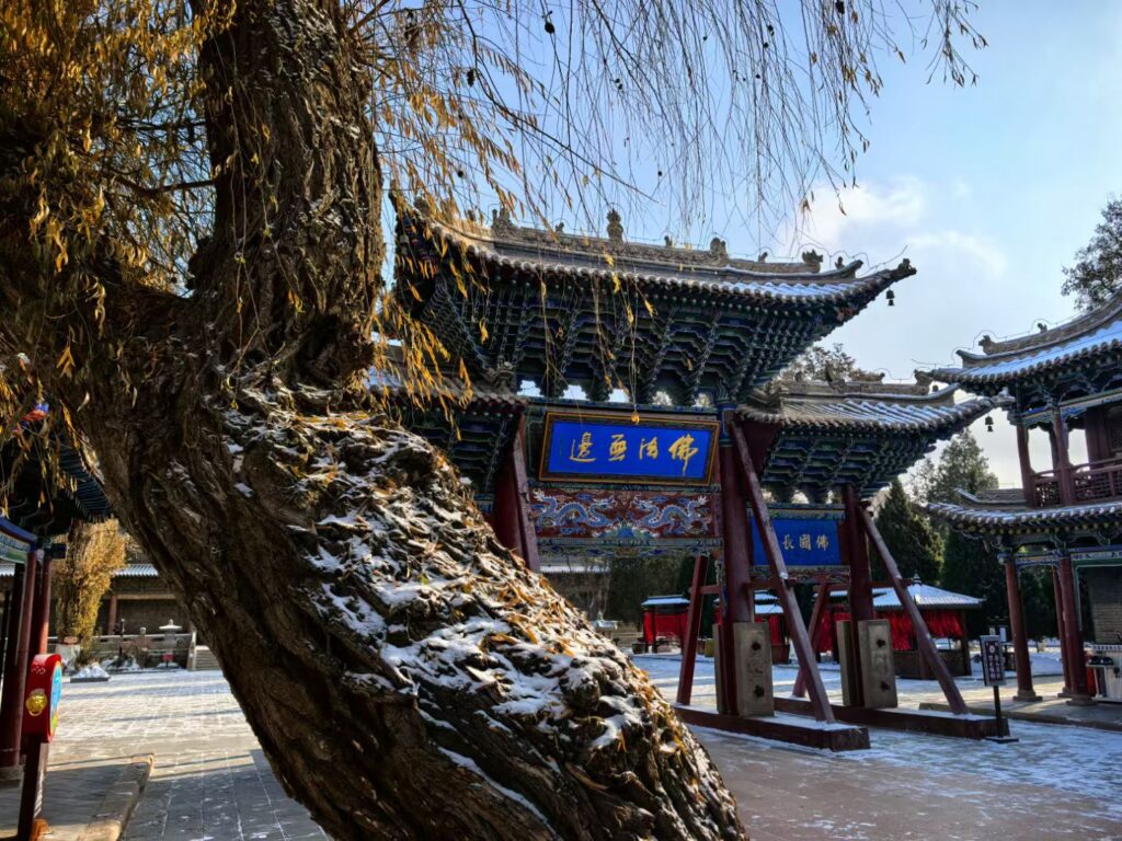 张掖大佛寺 4A