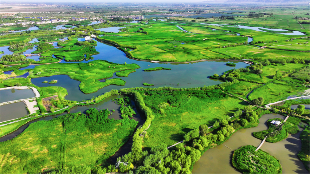 初夏张掖国家湿地公园景美如画