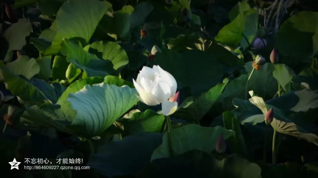张掖是一座什么样的城市?