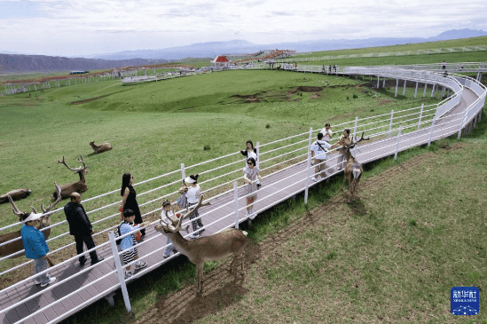 2026中高考生张掖全A级景区免票+半价清单